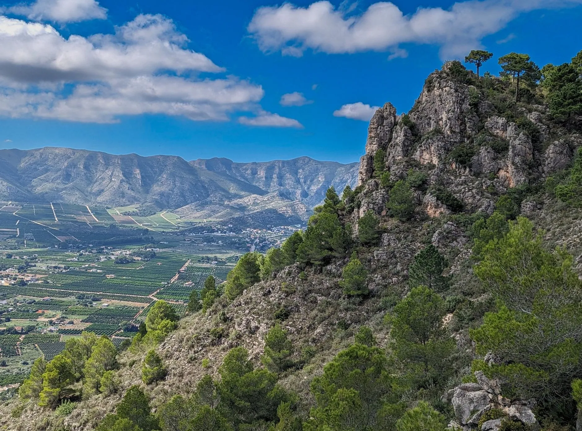 Mountain trail panorama
